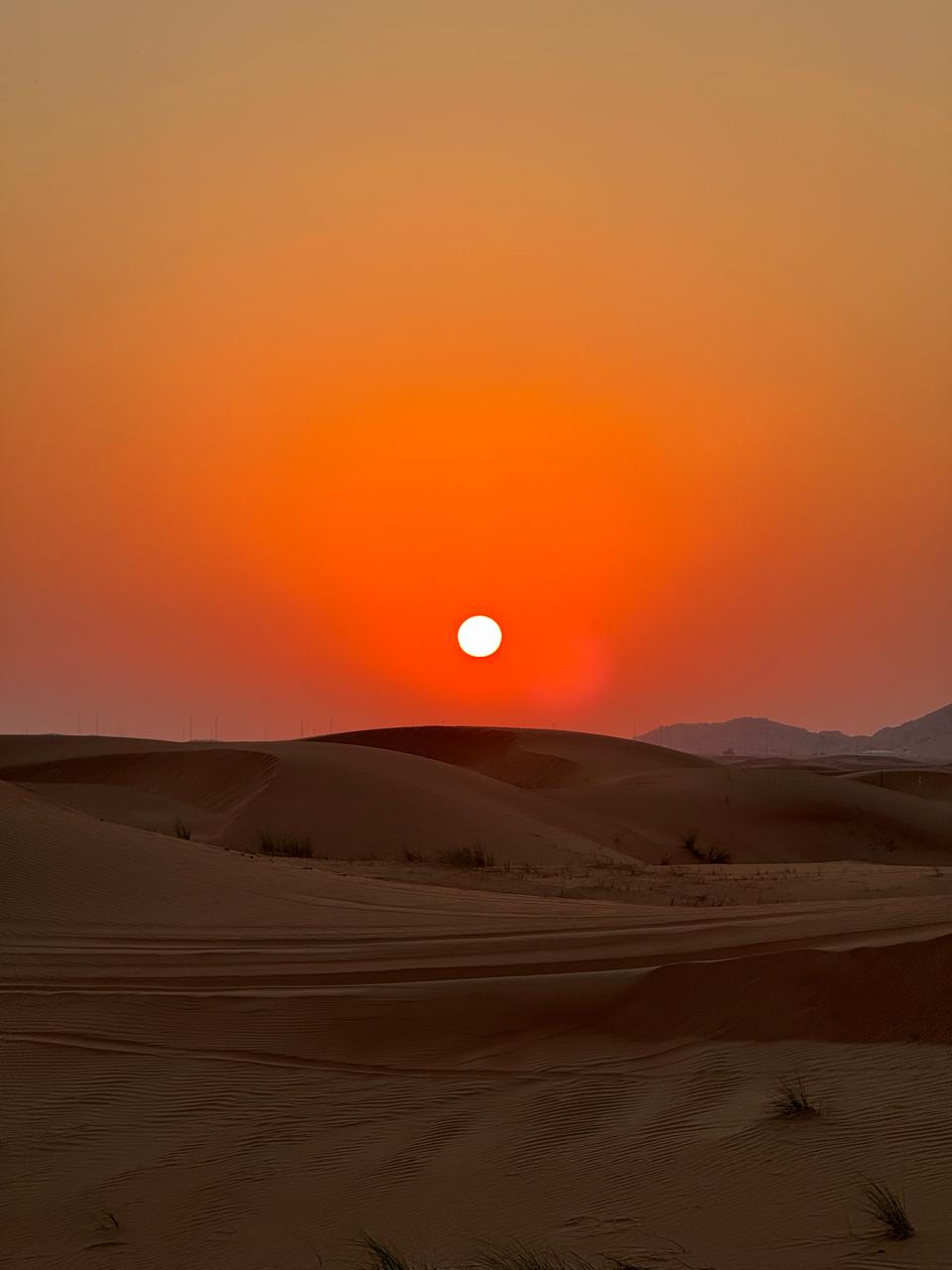 Desert Safari Dubai